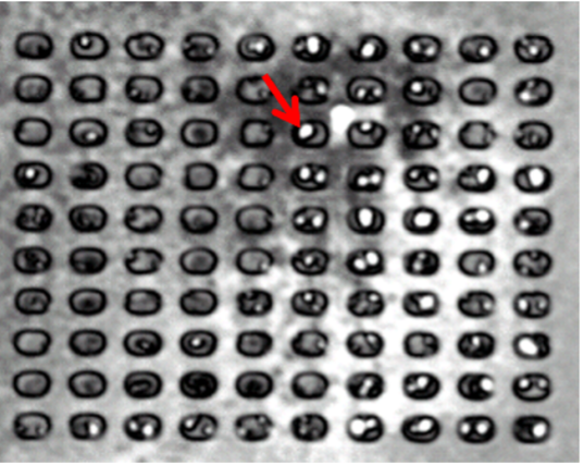 Application of Scanning Acoustic Microscope (SAM) in Flip Chip Field
